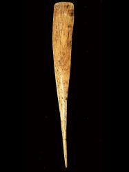 Crocodile Bone Thatching Awl, Upper Sepik River - #P122a