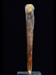 Very Old Bone Dagger, Papua New Guinea - 8122