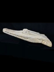 New Guinea Crocodile Canoe Prow - 10240