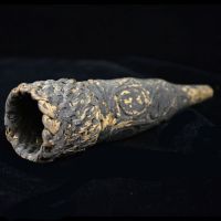 Phallocrypt 2