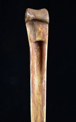 Cassowary Bone Dagger4