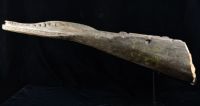 Crocanoe Prow, Middle Sepik River2